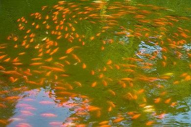 《堡垒之夜》联动《降世神通》今晚上线