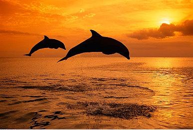 《虚构世界2：信条谷》PS和Xbox版公布 2023年2月发售